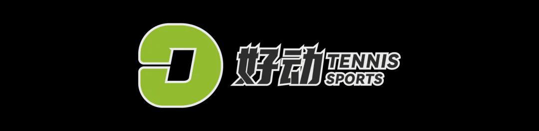 v体育-史上第二高价格 美网冠军奖杯被拍卖 前世界第一破产后 荣耀也成抵债品